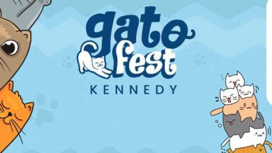 Gato Fest Kennedy