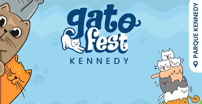 Gato Fest Kennedy