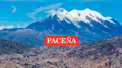 Pacena