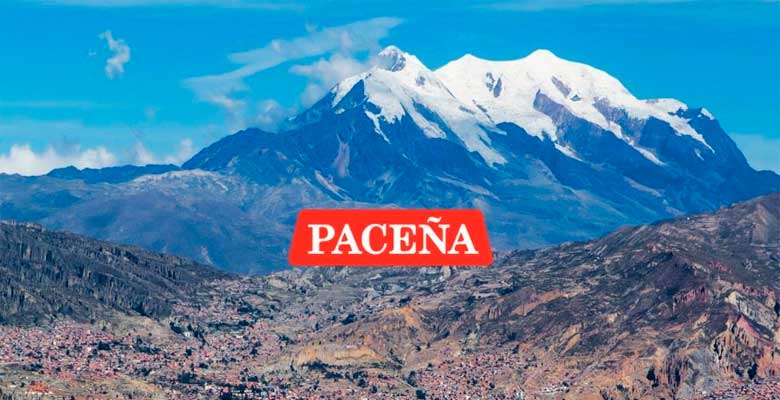 Pacena