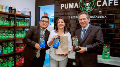 Puma Café