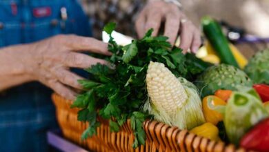 Alimentos