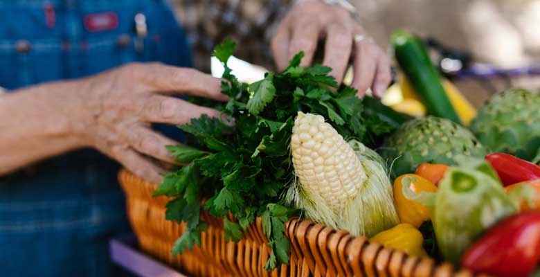 Alimentos