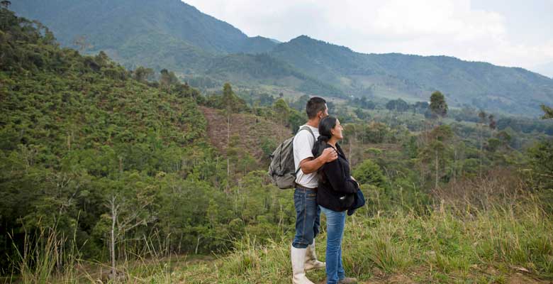 Medio Ambiente