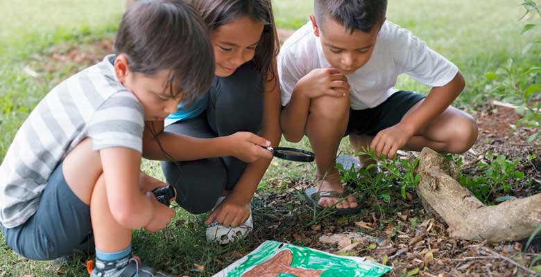 Niños Medio Ambiente