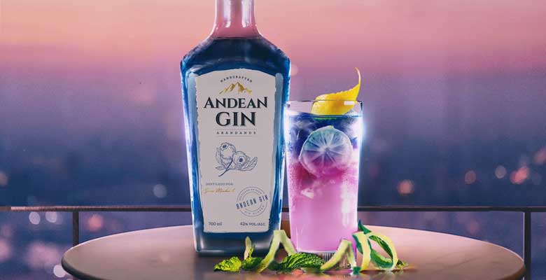 Andean Gin