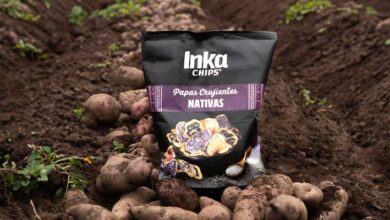 Inka Chips