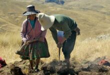 Cine Peruano