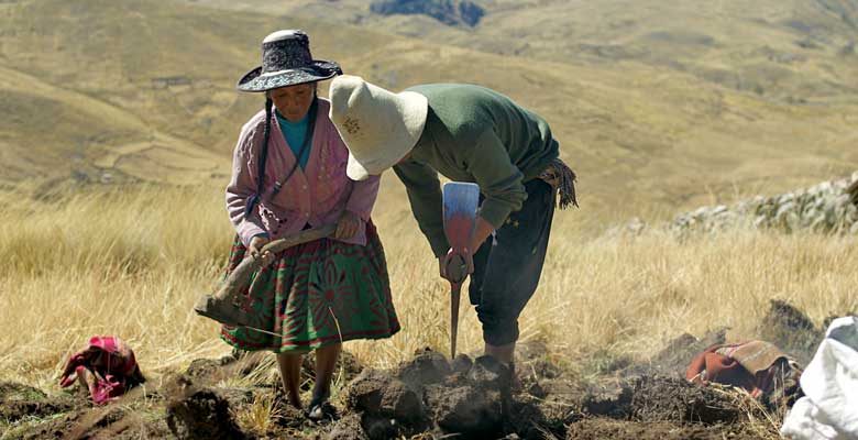 Cine Peruano