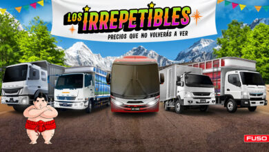 Irrepetibles