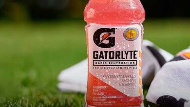 Gatorlyte