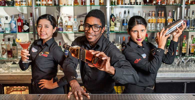 Beca Bartender