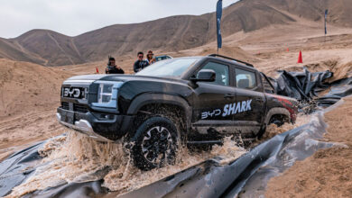 BYD Shark