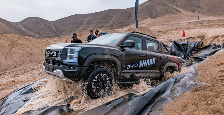 BYD Shark