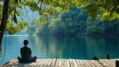 Meditar