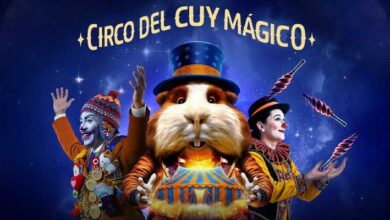 BCP Cuy Mágico