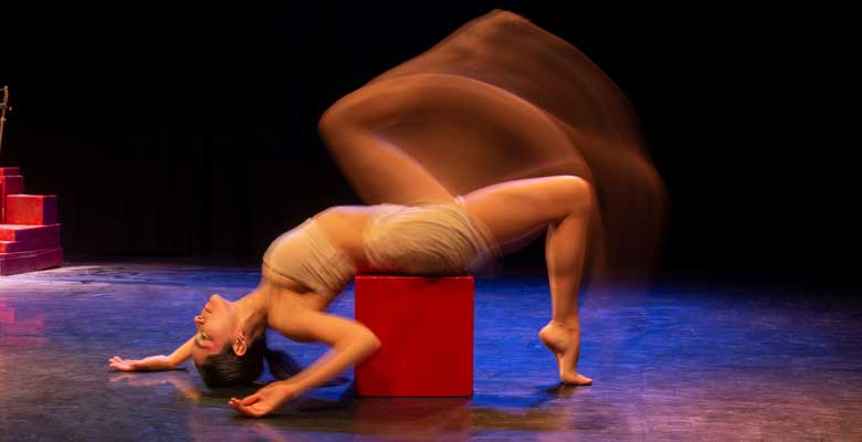 Danza
