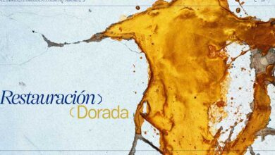 Head & Shoulders