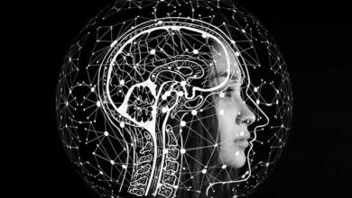 Inteligencia Artificial