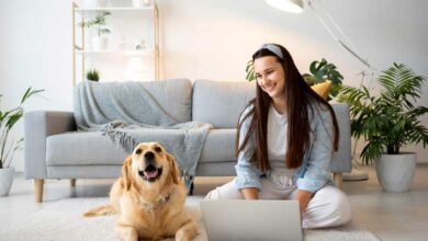 Pet Friendly