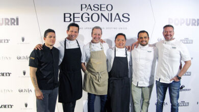 Chef Paseo Begonias