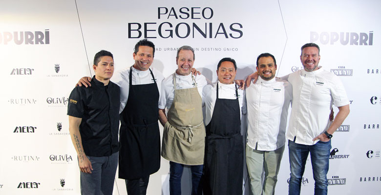 Chef Paseo Begonias