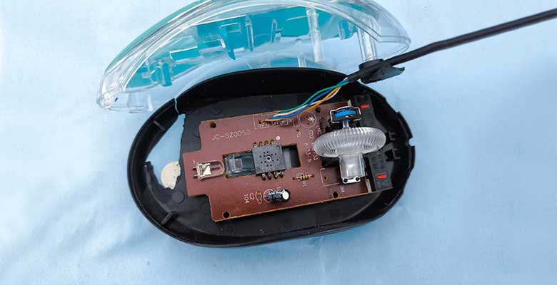 Mouse