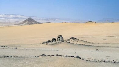Paracas