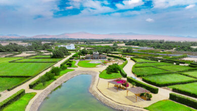 Prados Paraiso