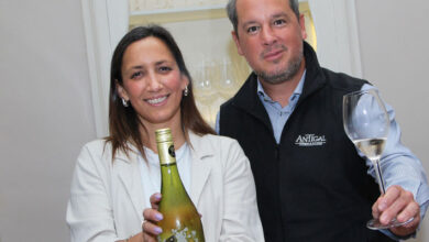 Antigal Wines