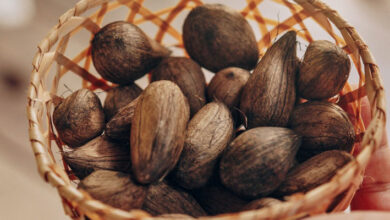Cacao