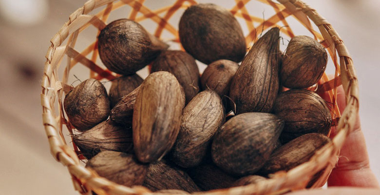 Cacao