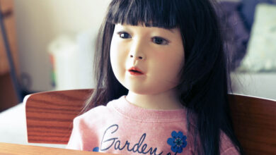 Dollhouse