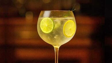 Gin Tonic