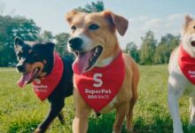 Super PET