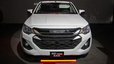 Santa Clara Pickup Isuzu