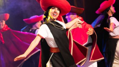 El vuelo del cóndor