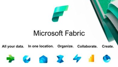 Microsoft Fabric
