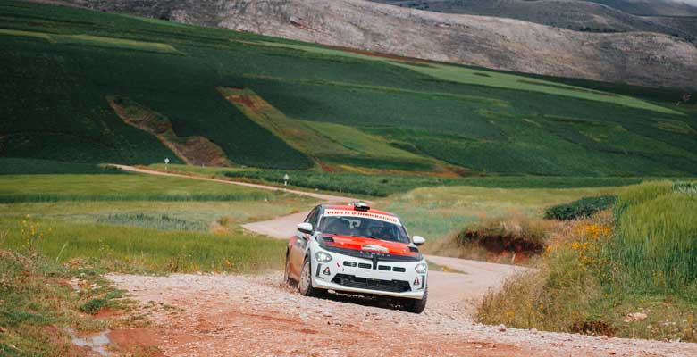 Rally Mobil