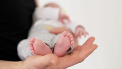 Bebe
