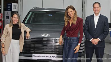 Anna Carina Hyundai