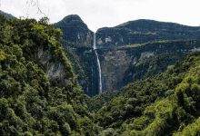 Medio Ambiente