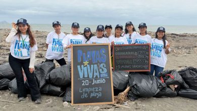 Playas Vivas