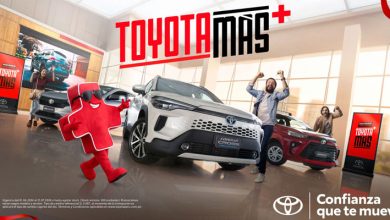 Toyotamas