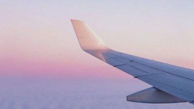Avión