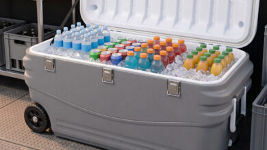 Cooler Basa