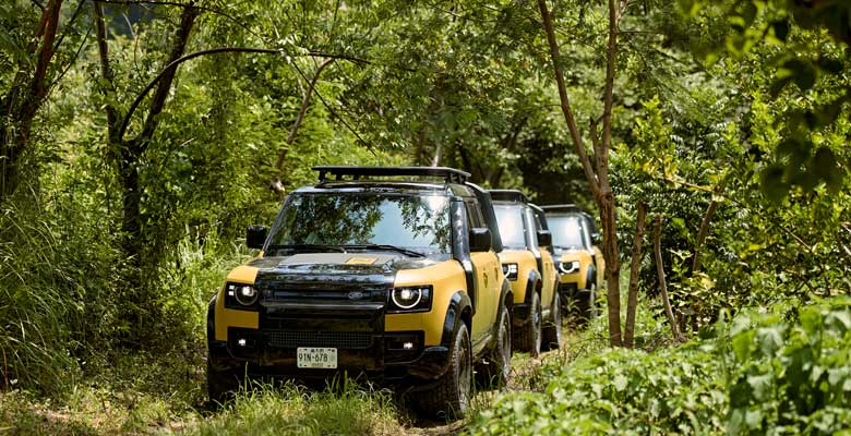 Defender