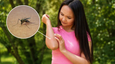 Dengue