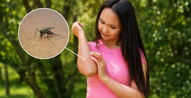 Dengue