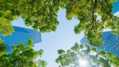 Bosques